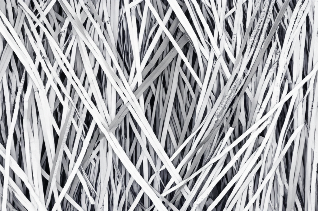Generated Image 2